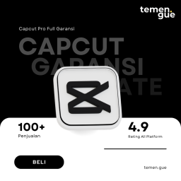 CapCut Pro